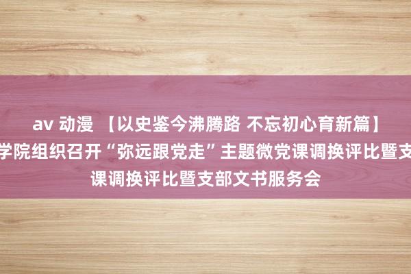 av 动漫 【以史鉴今沸腾路 不忘初心育新篇】采集空间安全学院组织召开“弥远跟党走”主题微党课调换评比暨支部文书服务会