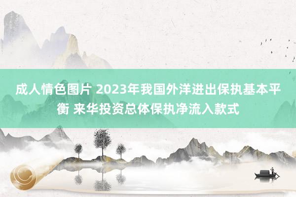 成人情色图片 2023年我国外洋进出保执基本平衡 来华投资总体保执净流入款式