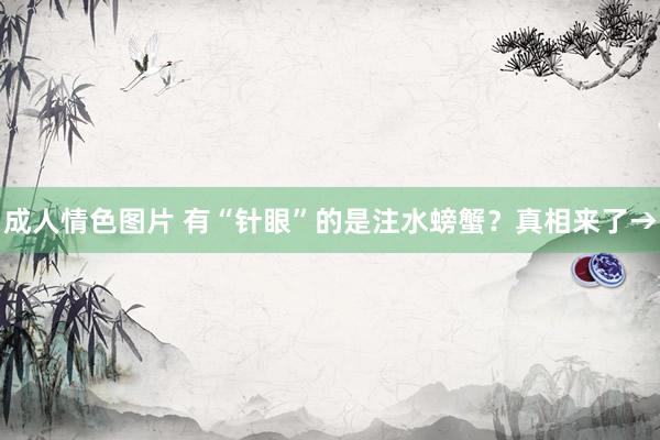 成人情色图片 有“针眼”的是注水螃蟹？真相来了→