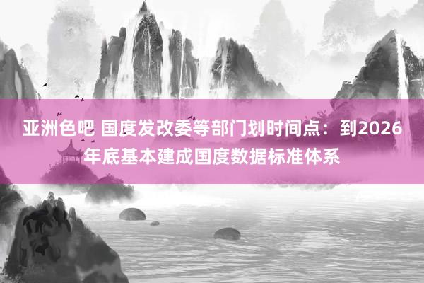 亚洲色吧 国度发改委等部门划时间点：到2026年底基本建成国度数据标准体系