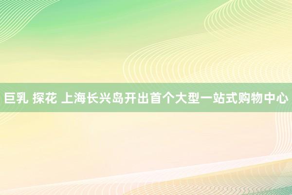 巨乳 探花 上海长兴岛开出首个大型一站式购物中心