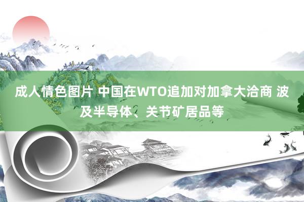 成人情色图片 中国在WTO追加对加拿大洽商 波及半导体、关节矿居品等