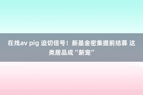 在线av pig 迫切信号！新基金密集提前结募 这类居品成“新宠”