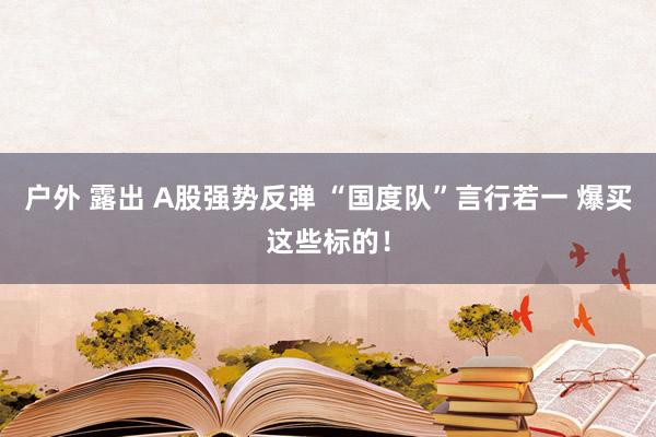 户外 露出 A股强势反弹 “国度队”言行若一 爆买这些标的！