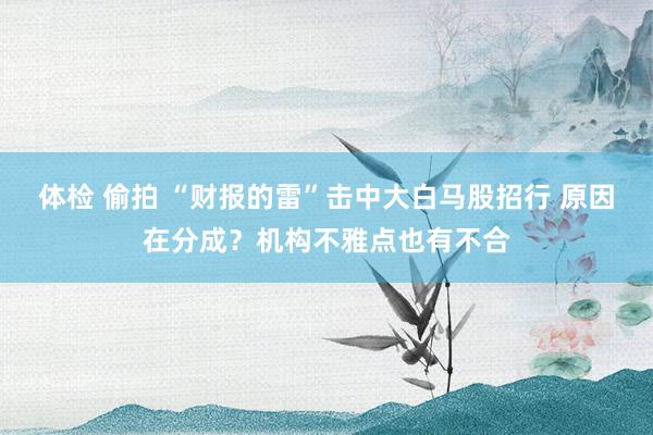 体检 偷拍 “财报的雷”击中大白马股招行 原因在分成？机构不雅点也有不合