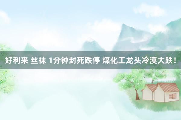 好利来 丝袜 1分钟封死跌停 煤化工龙头冷漠大跌！